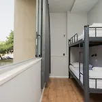 Cool , Hostel *