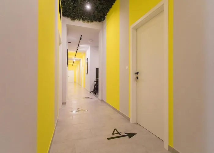 Cool , 호스텔 스플리트